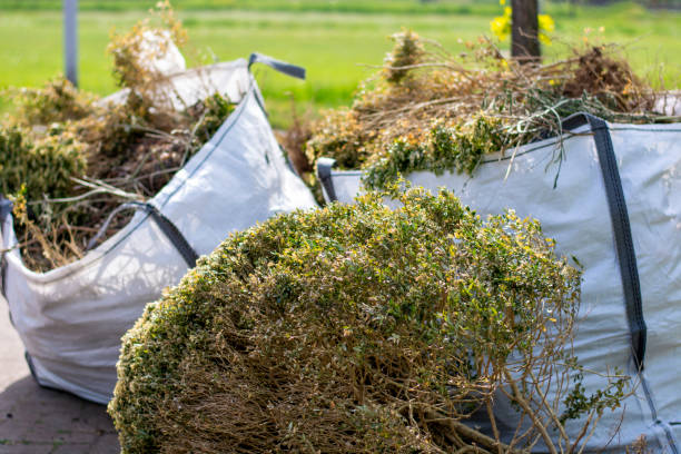 Best Basement Cleanout Services  in Richmond Hill, GA